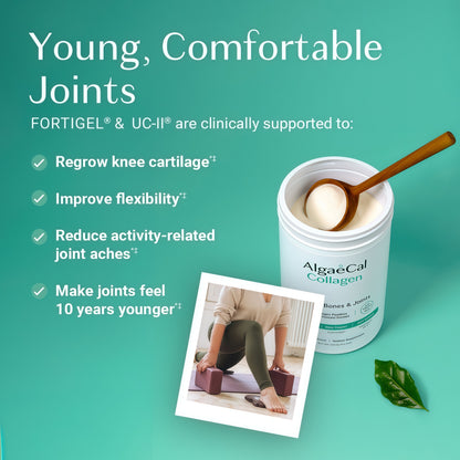 AlgaeCal Collagen